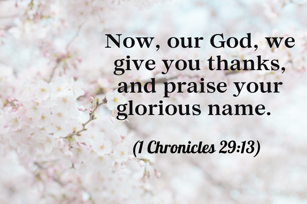 27 Bible Verses About Thanksgiving and Gratitude - Freudian Mommy