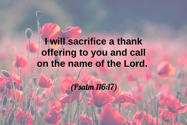 27 Bible Verses About Thanksgiving and Gratitude - Freudian Mommy