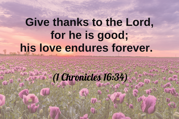 27 Bible Verses About Thanksgiving and Gratitude - Freudian Mommy